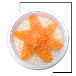 Chirashi saumon 6T
