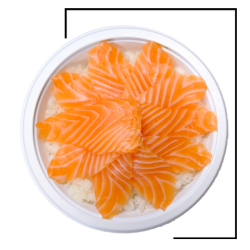 Chirashi saumon 10T