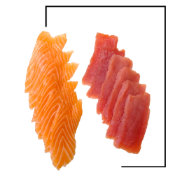 Sashimi thon saumon 12T
