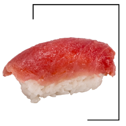 Sushi nigiri thon