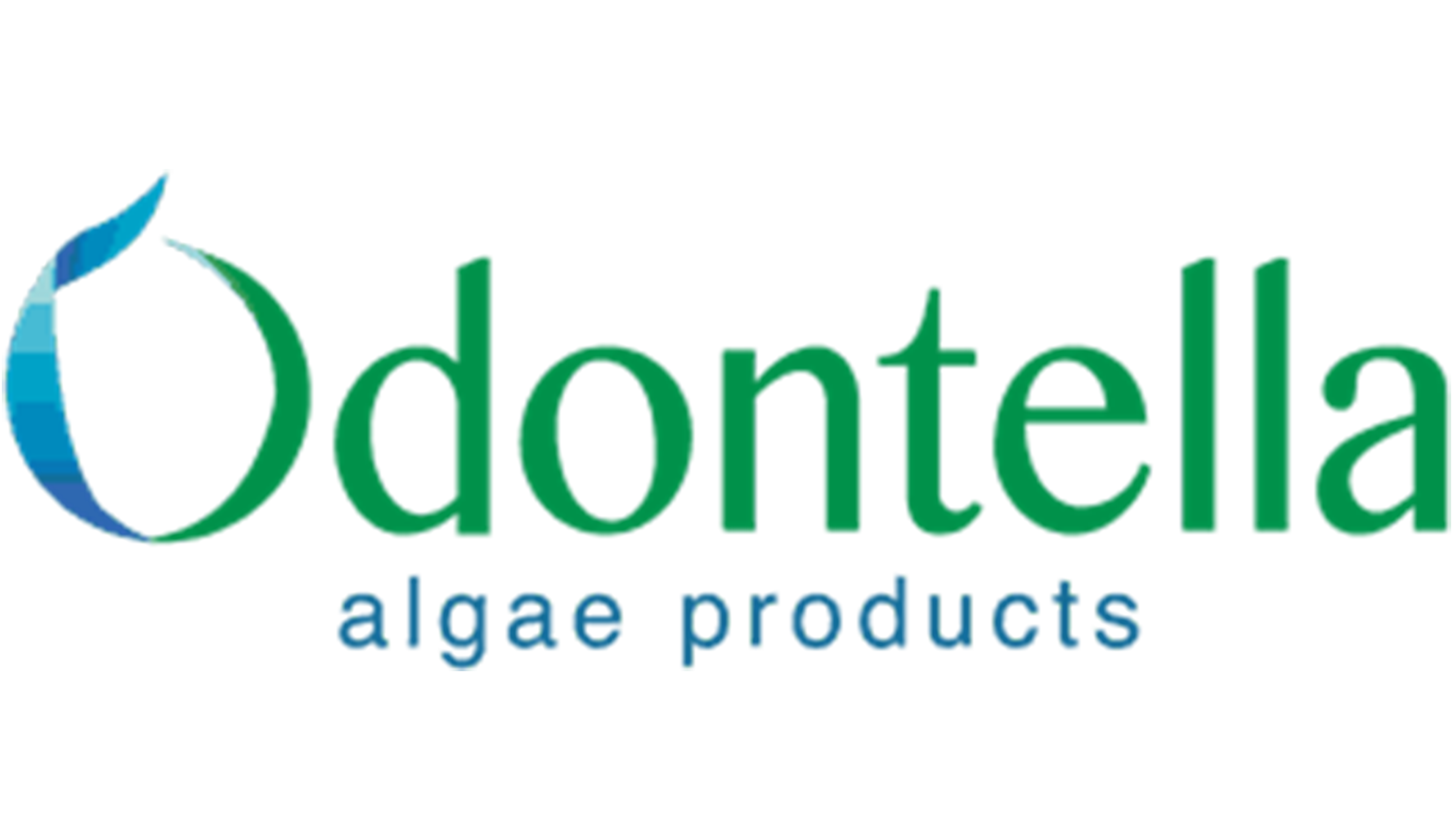 Odontella